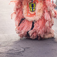 呼死您软件免费